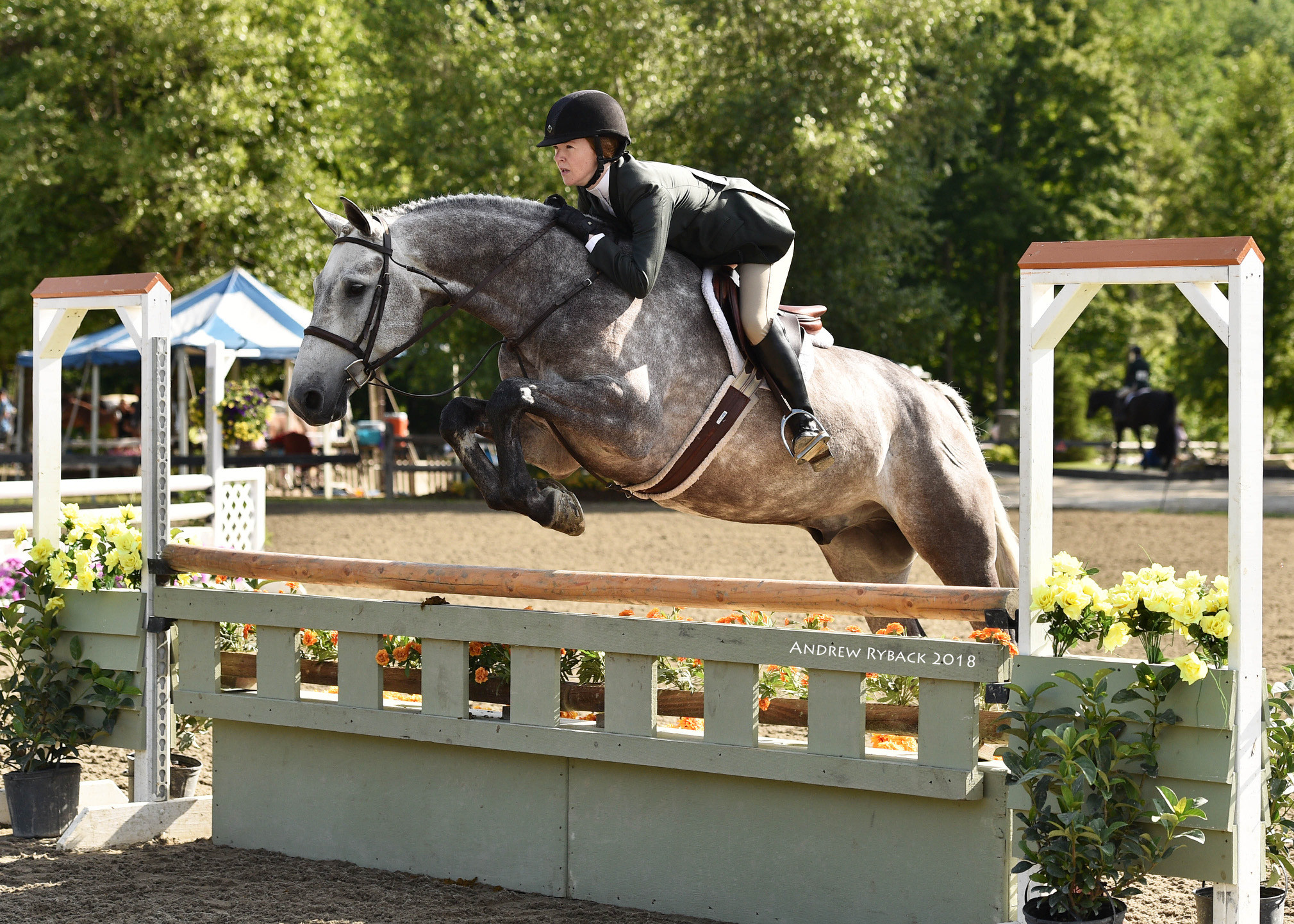 Equestrian rider and horse jumping over a hurdle in a competition.