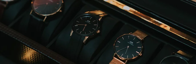 Luxury watches in a premium protective case, highlighting collection preservation.