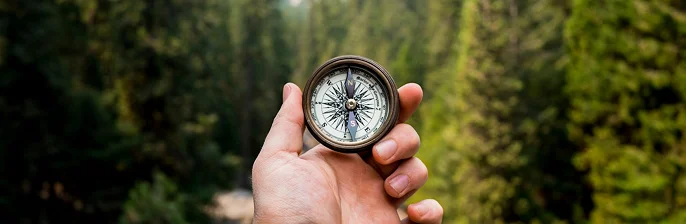 Navigating risk solutions: hand holding a compass in a forest setting.