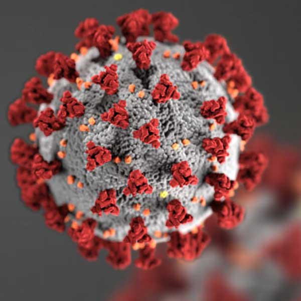 Coronavirus model showcasing red spike proteins on a grey surface.