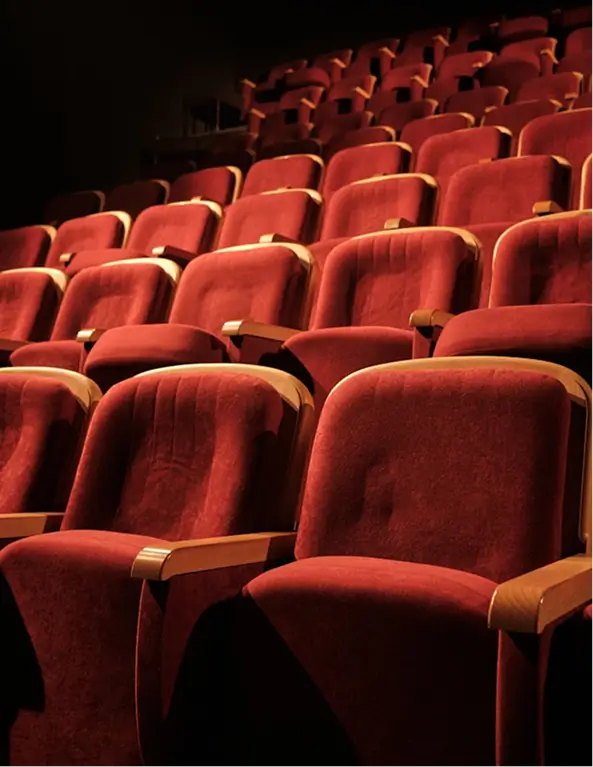Theatre seating emphasizes entertainment risk solutions expertise.
